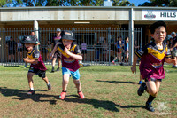 Hills Bulls - Mini Clinic Nov 2025-134