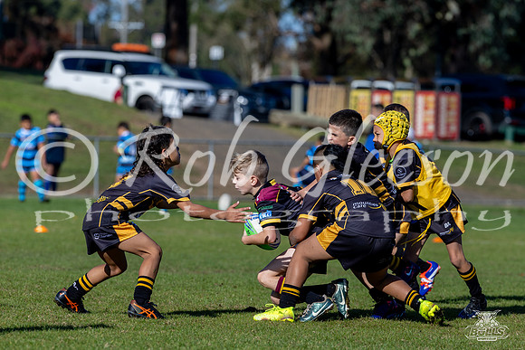 U8(2) R7 v Mounties_33