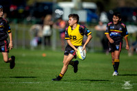 U10(1) R4 v Tigers_15