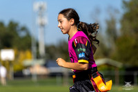 Tag U12(Silver) - Rizzo Design & Build