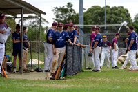 Baseball - MSE Inherited -2026-6