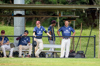 Baseball - 2nd Grade - Manly v Cronulla-4