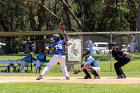 Baseball - 3nd Grade - Manly v Cronulla-6