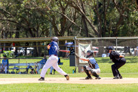 Baseball - 3nd Grade - Manly v Cronulla-7