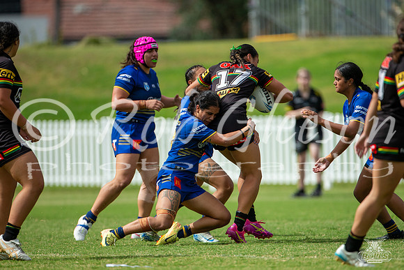 LFC - R6 - Eels v Panthers_43