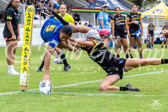 LFC - R6 - Eels v Panthers_13