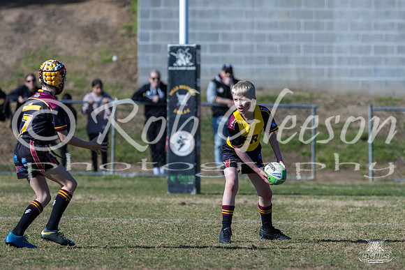 U9(2) R13 v Hills 9(3)_34