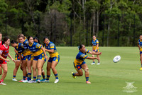 LFC R4 - Parra v Illawarra-16