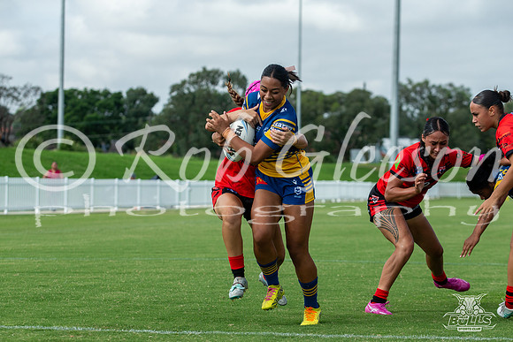 LFC R5 - Parra v Norths-11