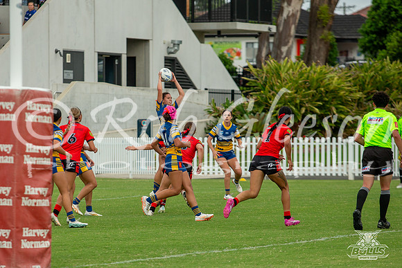LFC R5 - Parra v Norths-24