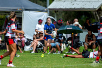 LFC - R2 - Bears v Eels_18