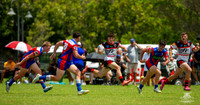 HMC - R2 - Bears v Knights_11