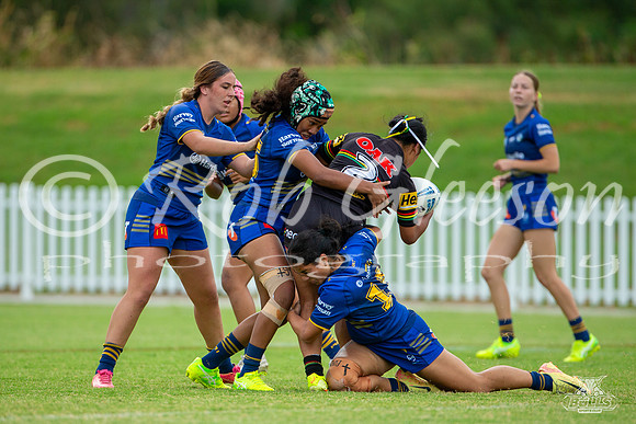 LFC - R6 - Eels v Panthers_21