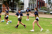 Hills Academy