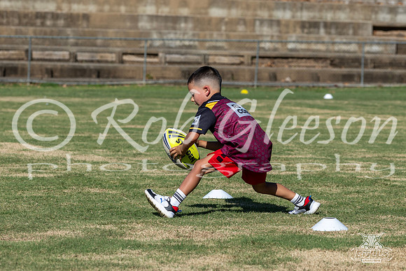 Mini Clinic - Jan 2026-29