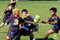U8(1) R1 v Wenty-15