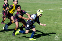 U8(1) R1 v Wenty-16