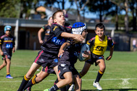 U8(1) R1 v Wenty-18