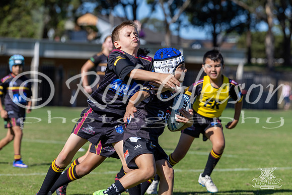 U8(1) R1 v Wenty-18