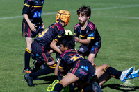 U8(1) R1 v Wenty-17