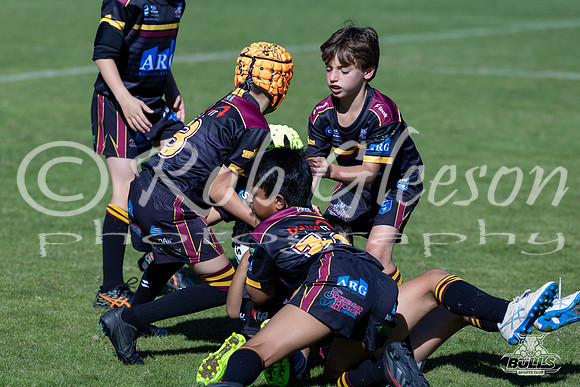 U8(1) R1 v Wenty-17