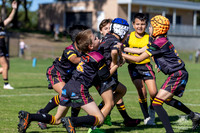 U8(1) R1 v Wenty-19