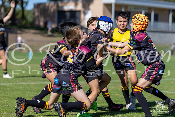 U8(1) R1 v Wenty-19