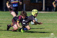 U8(1) R1 v Wenty-22