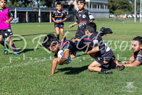 U8(1) R1 v Wenty-8