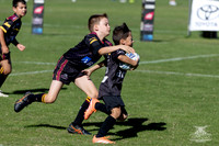 U8(1) R1 v Wenty-10