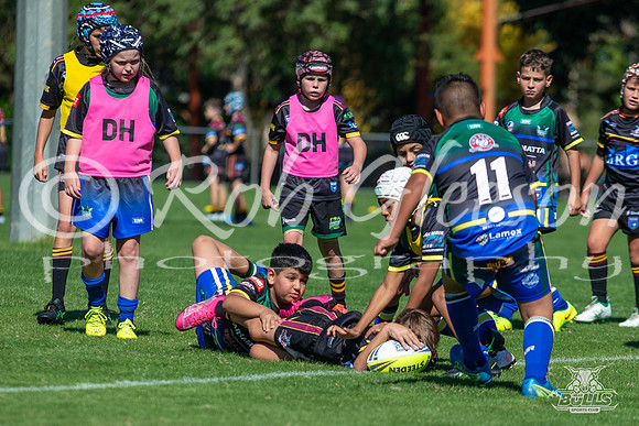 U10(2) R1 v Titans-9