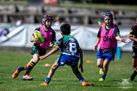 U10(2) R1 v Titans-26