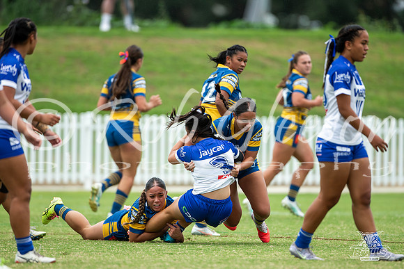 LFC R9 - Parra v Canterbury-4