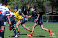 U9(1) R2 v Kellyville-15