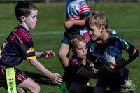 U7(1) R2 v Greystanes-3