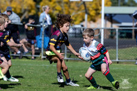 U7(1) R2 v Greystanes-4