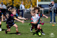 U7(1) R2 v Greystanes-5