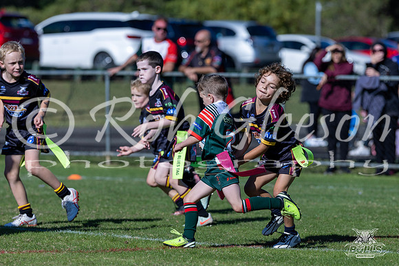U7(1) R2 v Greystanes-9
