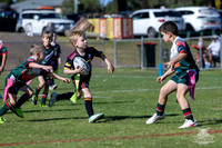 U7(1) R2 v Greystanes-7