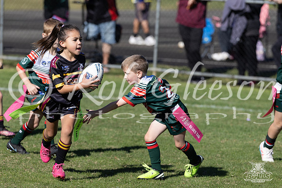 U7(1) R2 v Greystanes-11