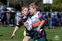 U7(1) R2 v Greystanes-15