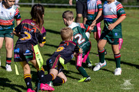 U7(1) R2 v Greystanes-14