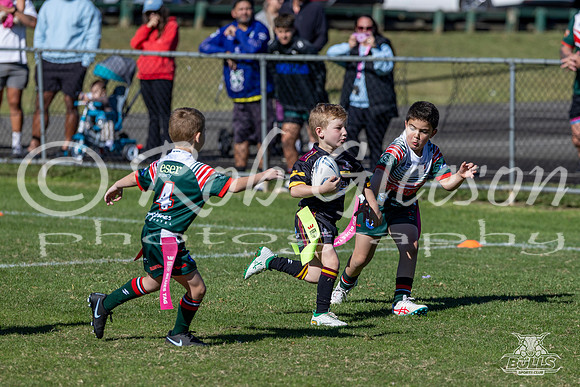 U7(1) R2 v Greystanes-21