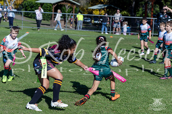 U7(1) R2 v Greystanes-22