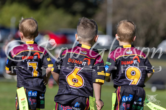 U7(1) R2 v Greystanes-28
