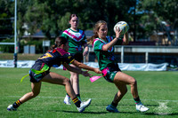 Tag U14(1) - Clean Shred