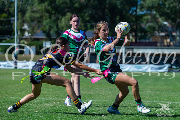 TU14(1) R2 v SE NSWRL-1
