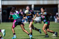 TU14(1) R2 v SE NSWRL-7