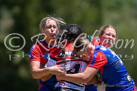TGC R1 - Bears 14 v Knights 20-47