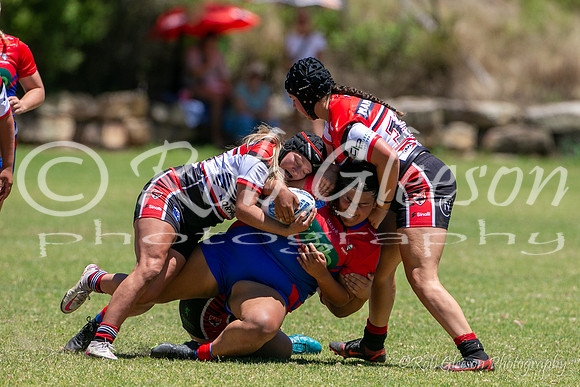 TGC R1 - Bears 14 v Knights 20-46